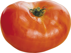 Tomato PNG-12538